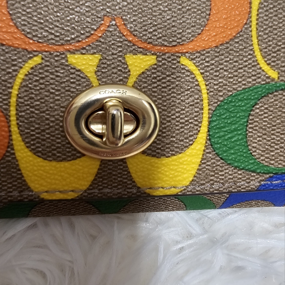 COACH CA053 NWT Pride Rainbow Signature Canvas Sunglass Case Pride Collection - Picture 8 of 10